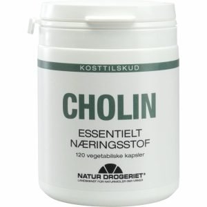 Cholin kapsler 120 stk