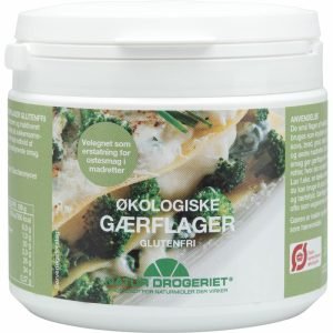 Gærflager inaktiv 100 g Øko