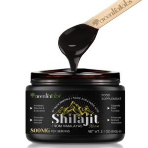 Organic Shilajit Resin – 1 stk