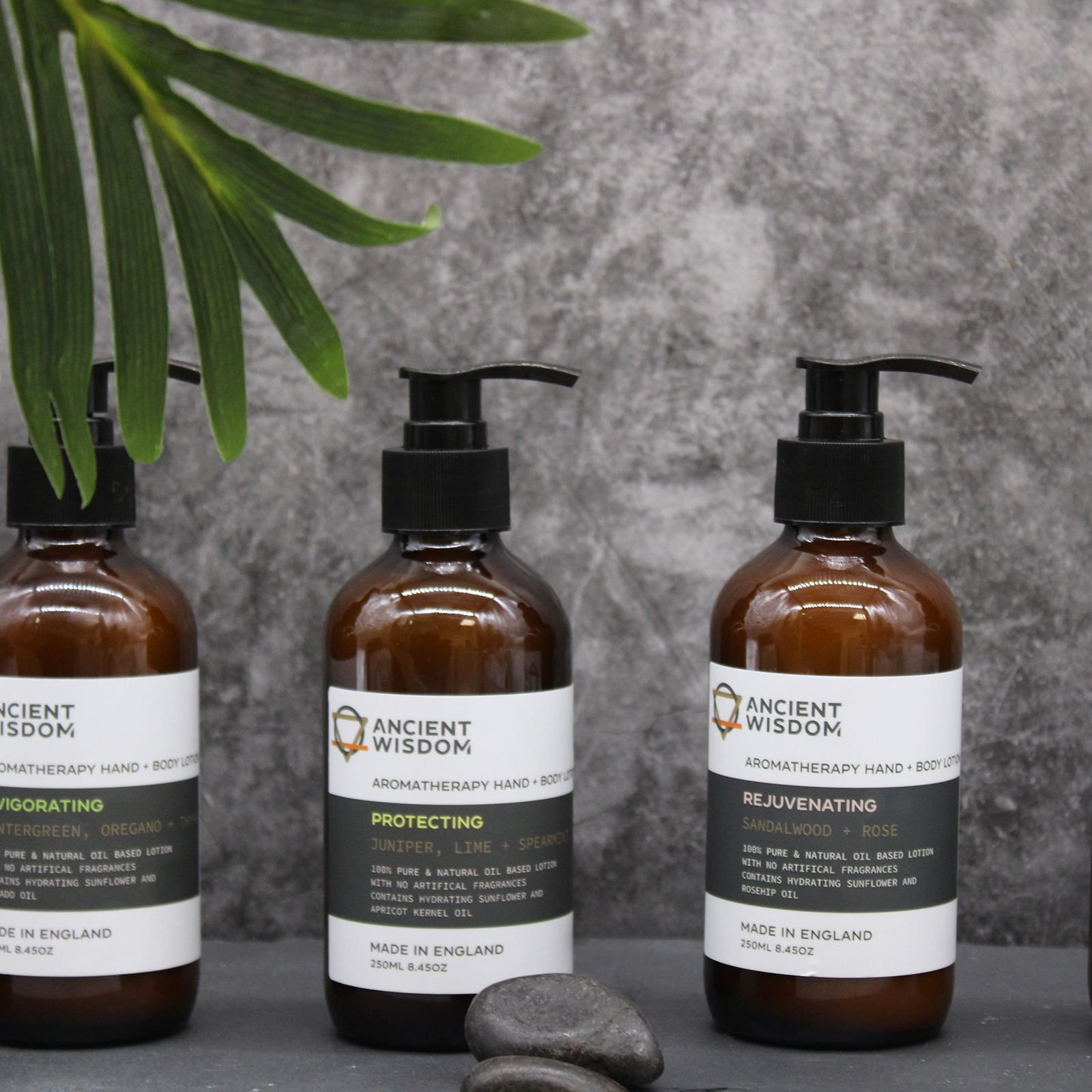 Mandarin & Ginger Hand & Body Lotion 250ml - Billede 4
