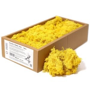 Kvalitets dekorations-rensdyrmos - Gul - 635g æske