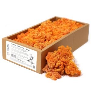 Kvalitets Dekorationsrensdyrmos - Orange - 635g Boks