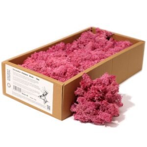 Kvalitets dekorations-rensdyrmos - Lyserød - 635g æske