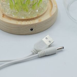 Blomster Glow Havekuppel - 20 Tulipaner - LED USB