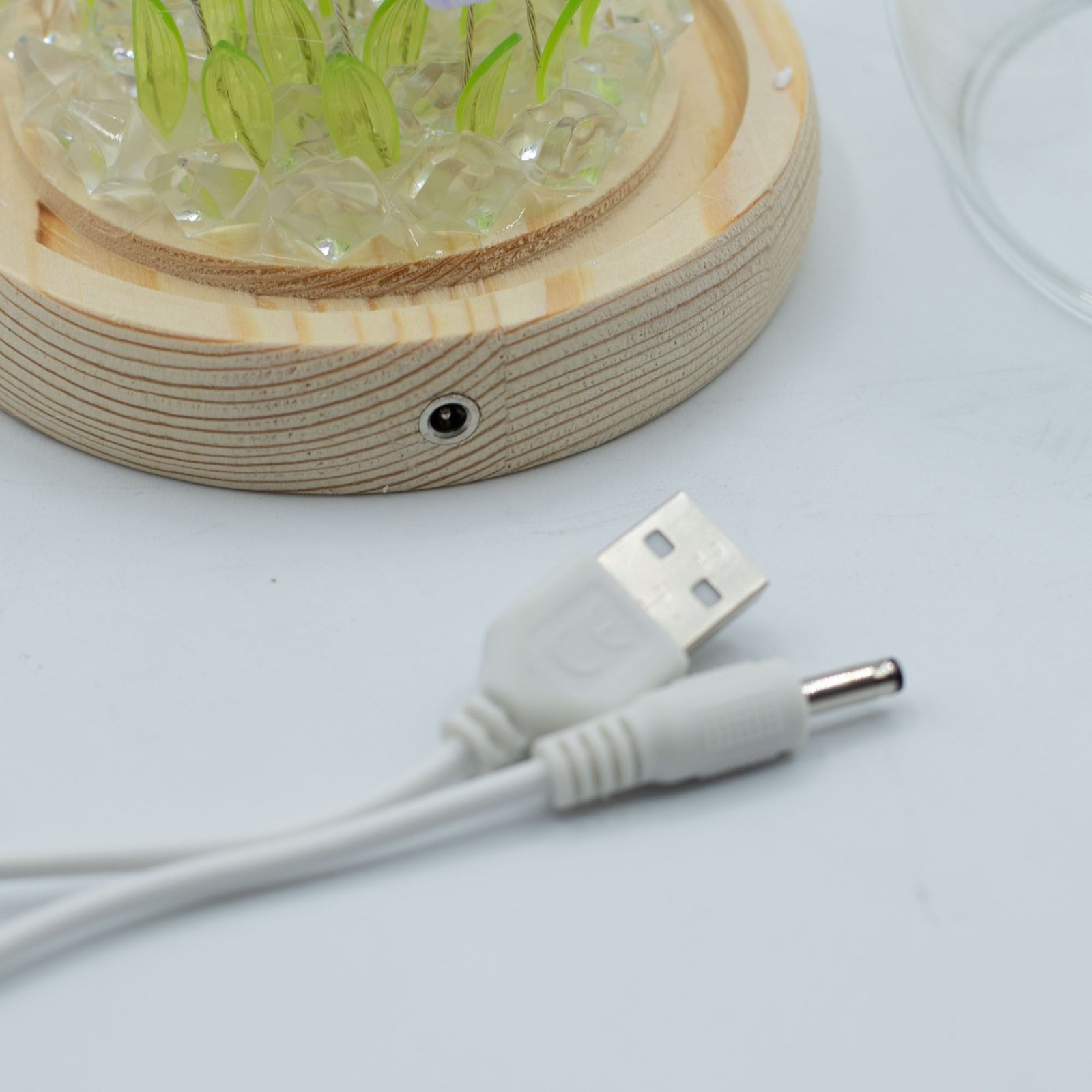 Blomster Glow Havekuppel - 20 Tulipaner - LED USB