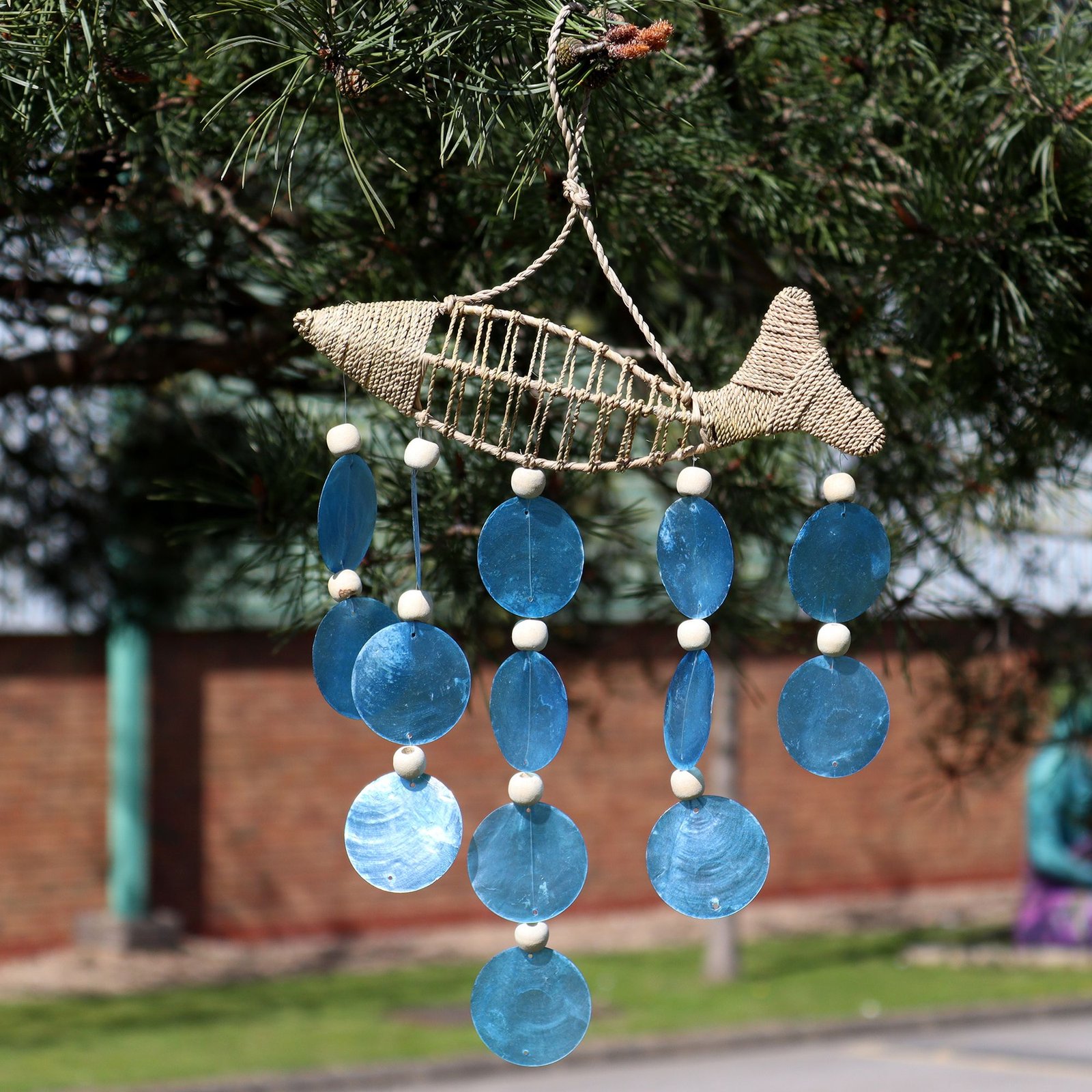 String Fish and Blue Copis Drop - Billede 4