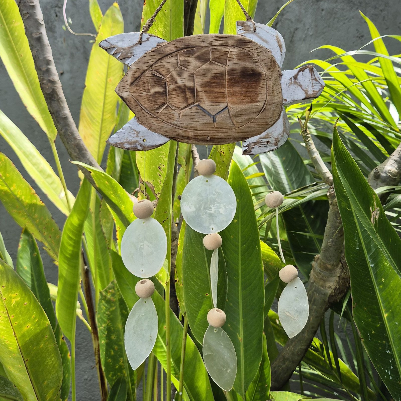 Whitewash Turtle Carving and Natural Copis Drop - Billede 4