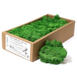 Kvalitets dekorations-rensdyrmos - Mosgrøn - 635g æske