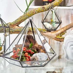 Glasterrarium - Lygteform
