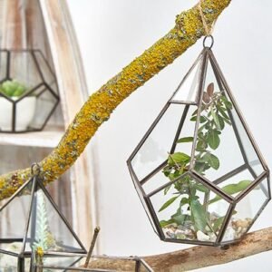 Glasterrarium - Stor Pyramide
