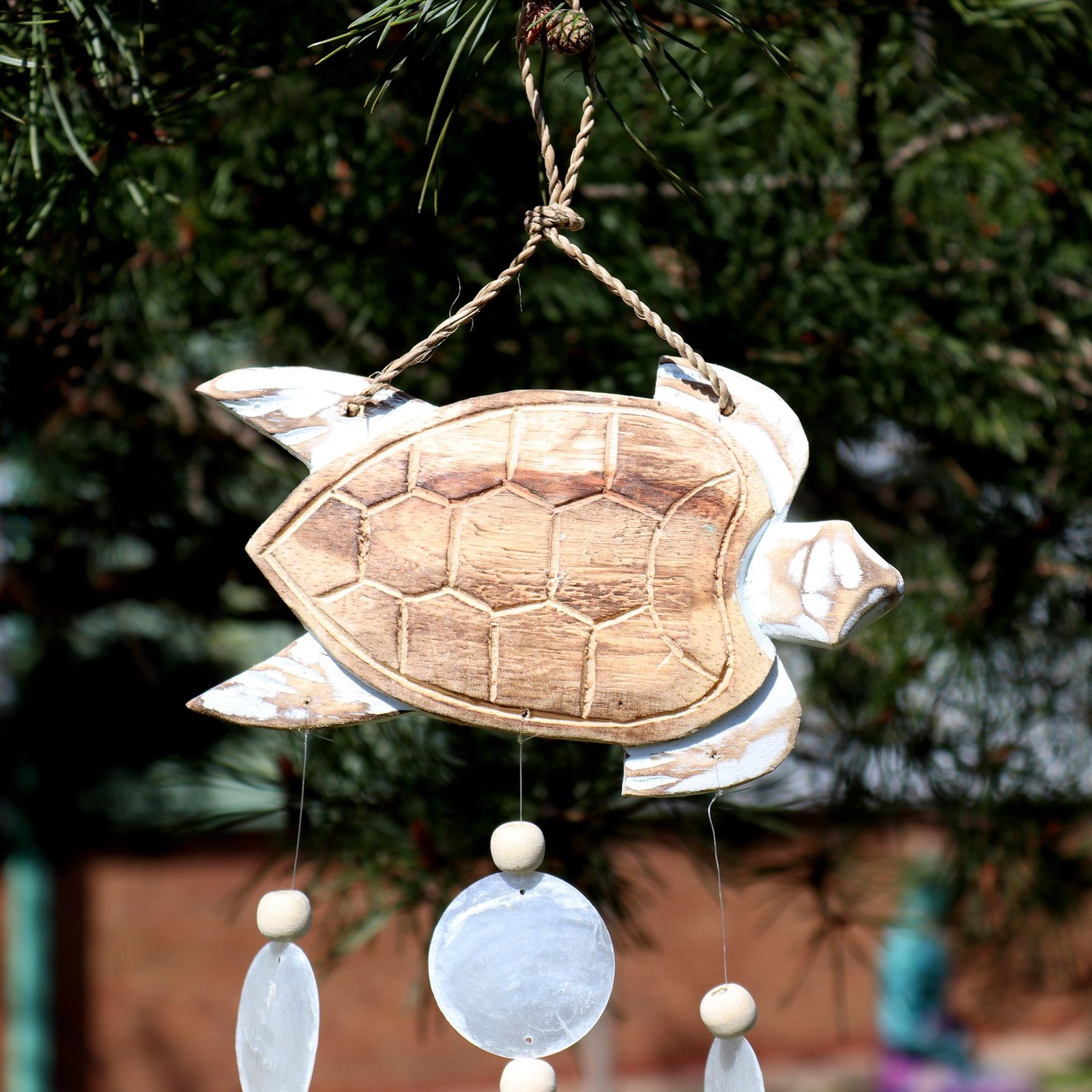 Whitewash Turtle Carving and Natural Copis Drop - Billede 3