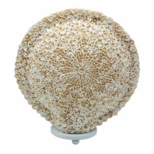 Boho Havskal-lampe - Skåret Kunstscal Stor Rund - 30cm