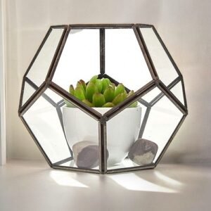 Glasterrarium - Stor Ottekant