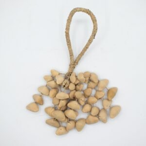 Kenari Shell Long Rattle (50 Shells)
